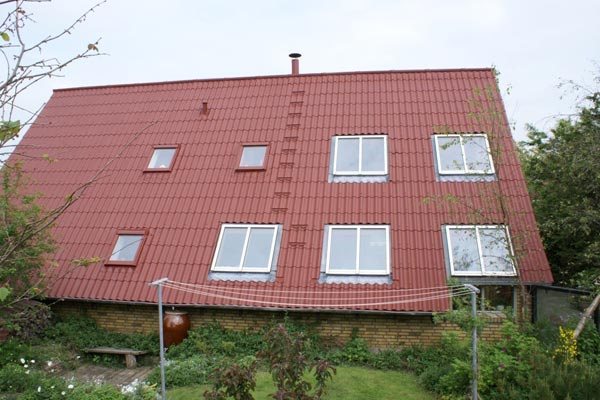 professionel-tagrensning