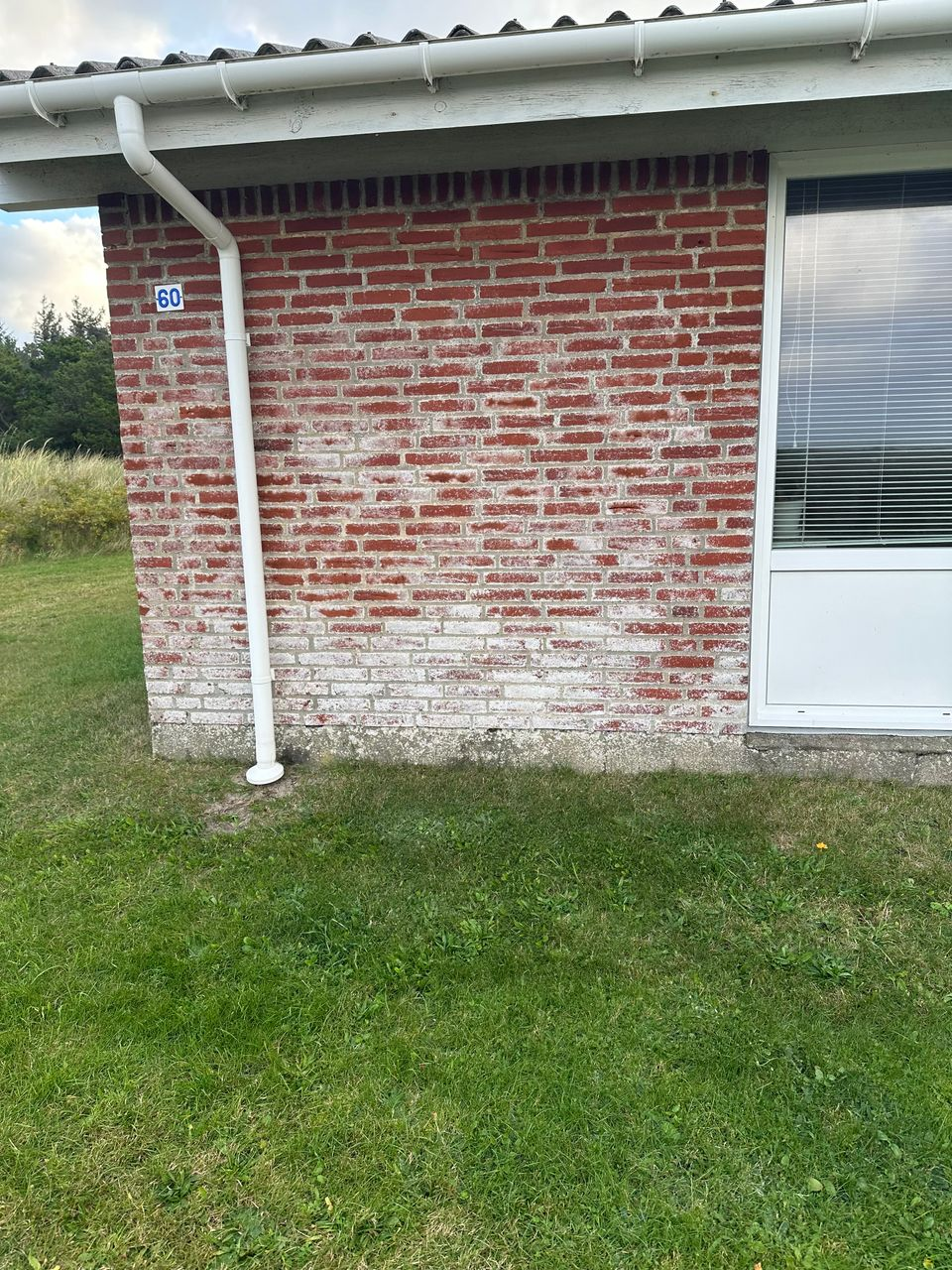 Before